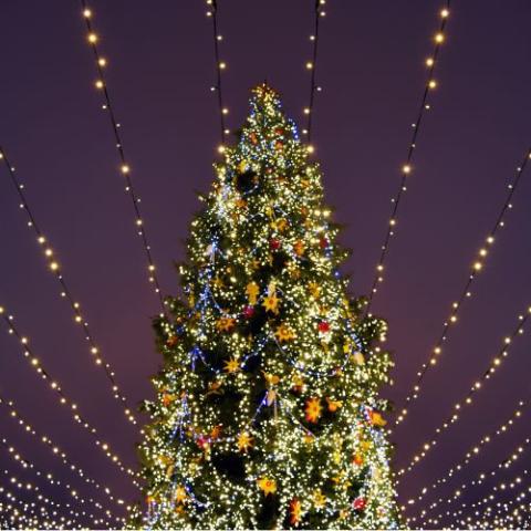 a lighted Christmas Tree