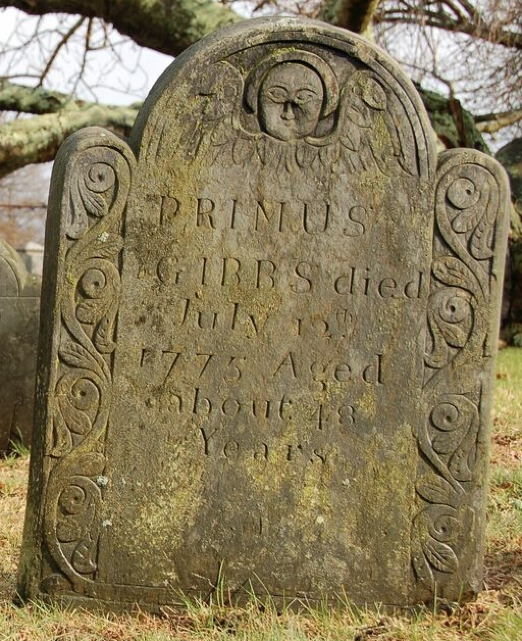 Primus Gibbs Gravestone